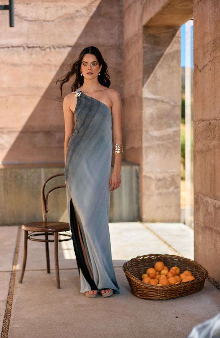 PRE ORDER: MAXI VESTIDO LIGURIA ESTAMPADO